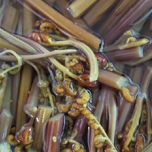 重曹なしで簡単 わらびのあく抜きと保存 レシピ 作り方 By はなまる子 楽天レシピ 重曹なしで簡単 わらびのあく抜きと保存 レシピ 作り方 By はなまる子 楽天レシピ